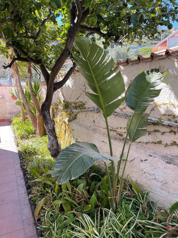 Villa Alba Brucoli Ngoại thất bức ảnh